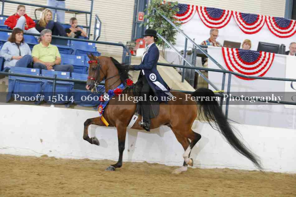 Proof Number 15R14_06018