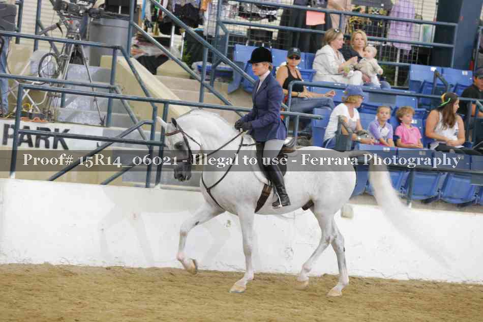 Proof Number 15R14_06021