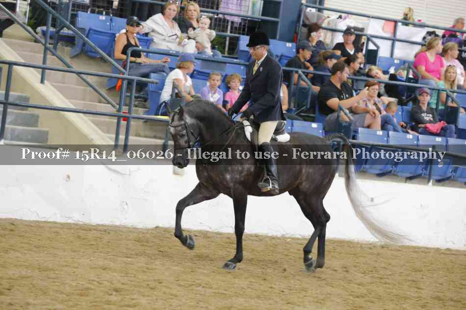 Proof Number 15R14_06026