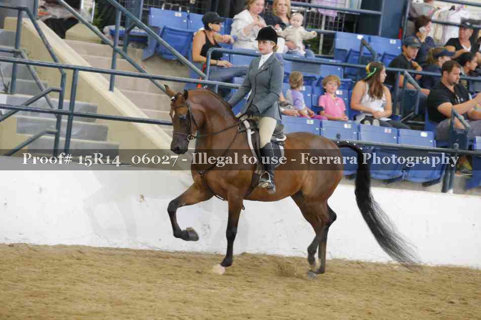 Proof Number 15R14_06027