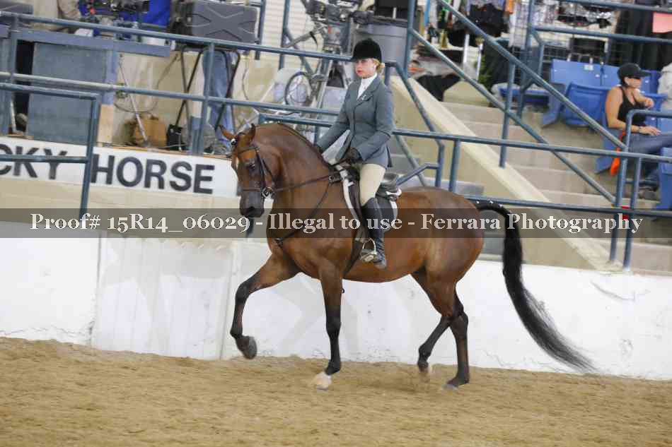 Proof Number 15R14_06029