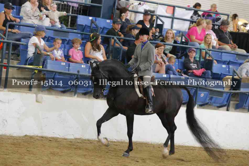 Proof Number 15R14_06031