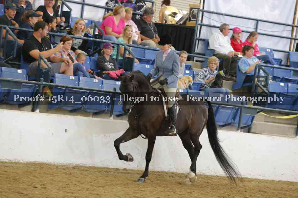 Proof Number 15R14_06033