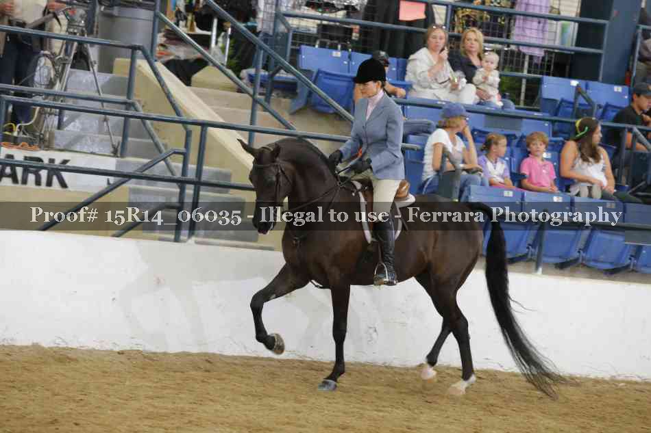 Proof Number 15R14_06035