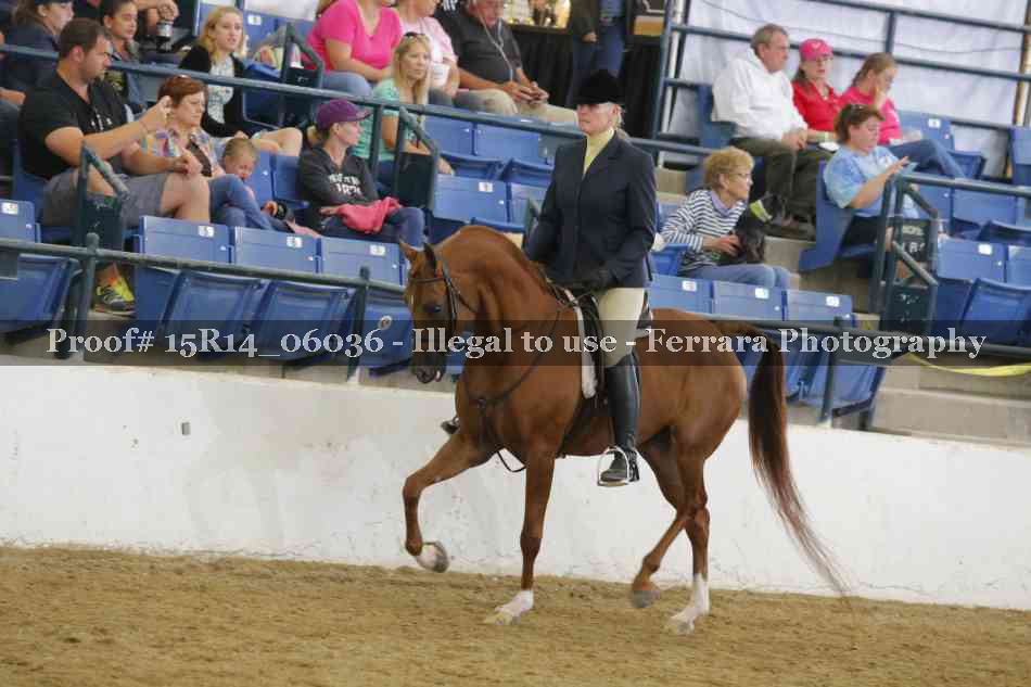 Proof Number 15R14_06036