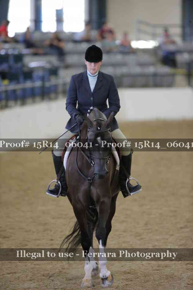 Proof Number 15R14_06041