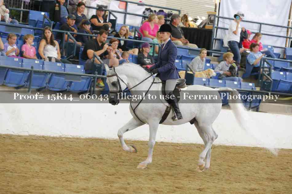 Proof Number 15R14_06043