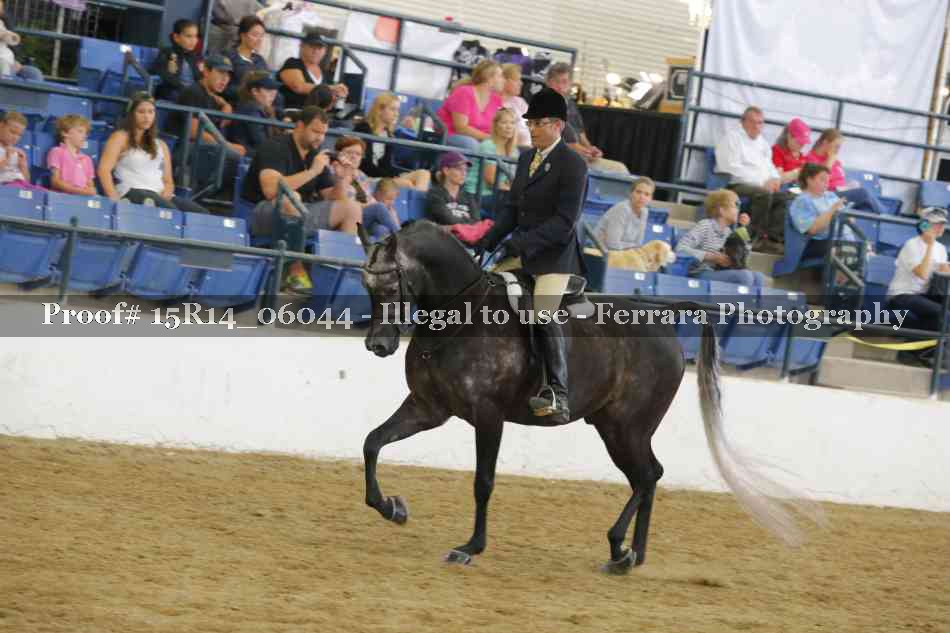 Proof Number 15R14_06044