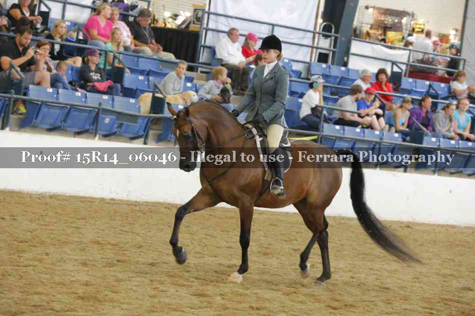 Proof Number 15R14_06046