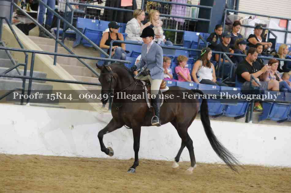 Proof Number 15R14_06049