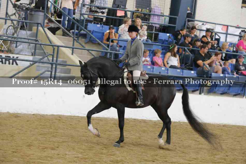 Proof Number 15R14_06051