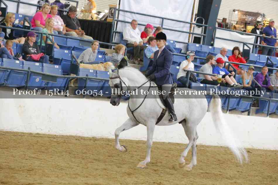 Proof Number 15R14_06054