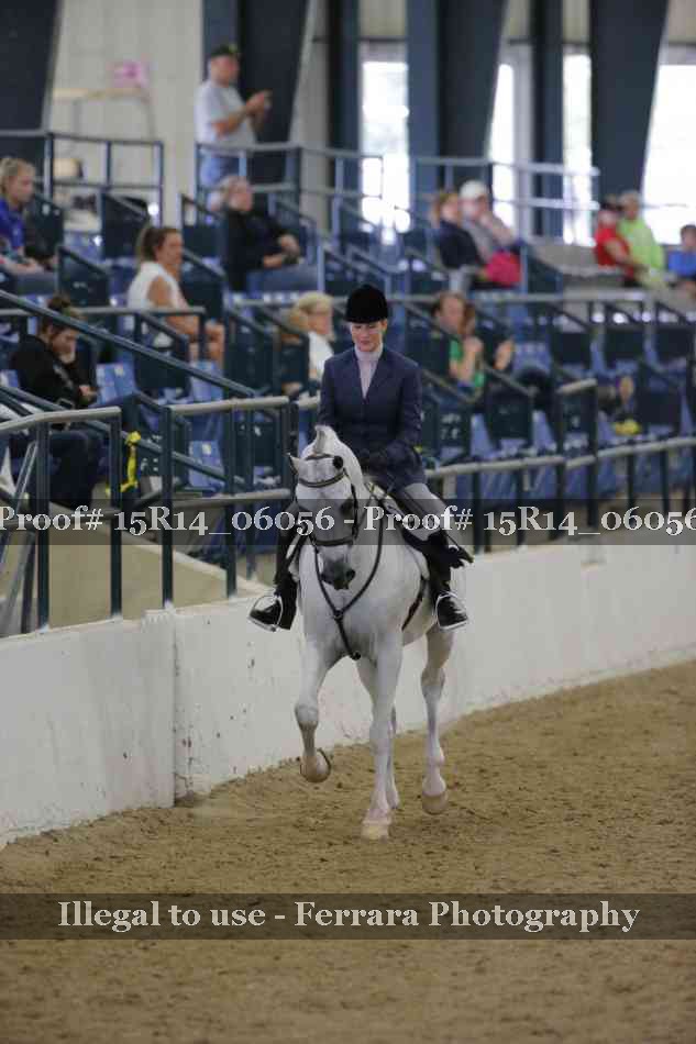 Proof Number 15R14_06056