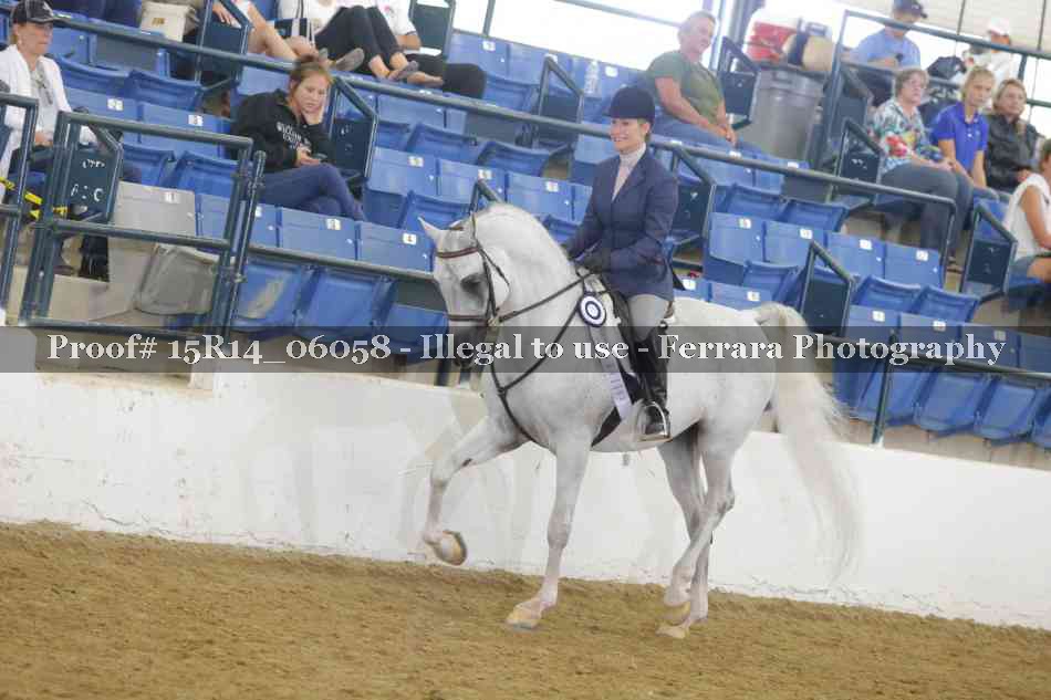 Proof Number 15R14_06058