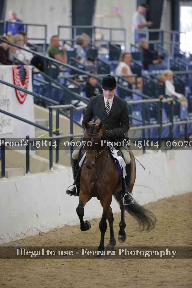 Proof Number 15R14_06070