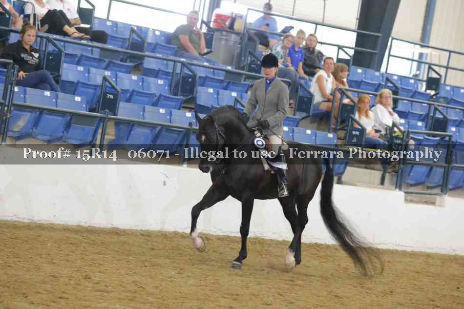 Proof Number 15R14_06071
