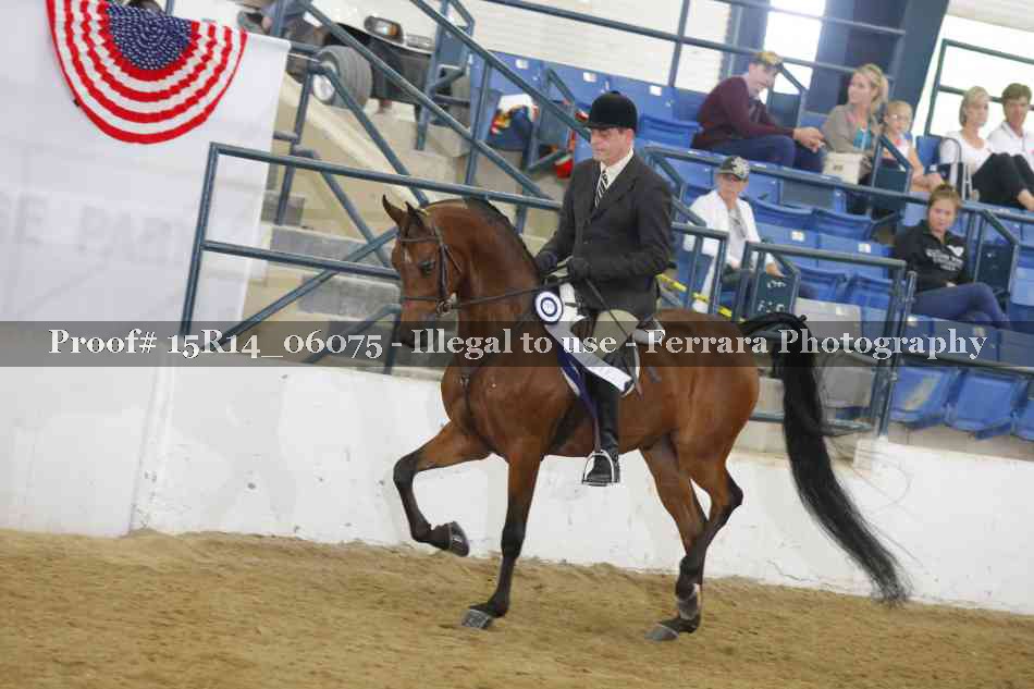 Proof Number 15R14_06075