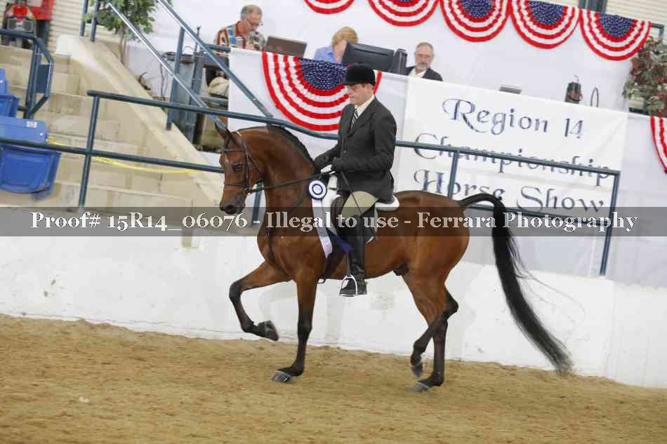 Proof Number 15R14_06076