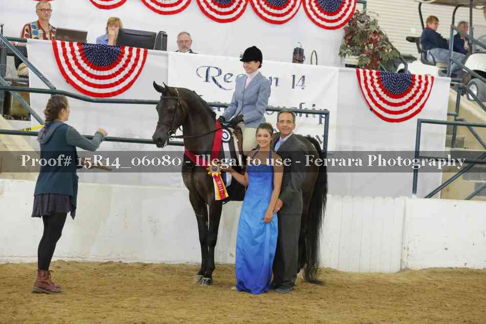 Proof Number 15R14_06080