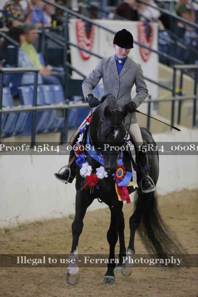 Proof Number 15R14_06081