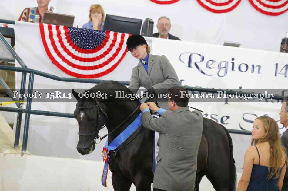 Proof Number 15R14_06083