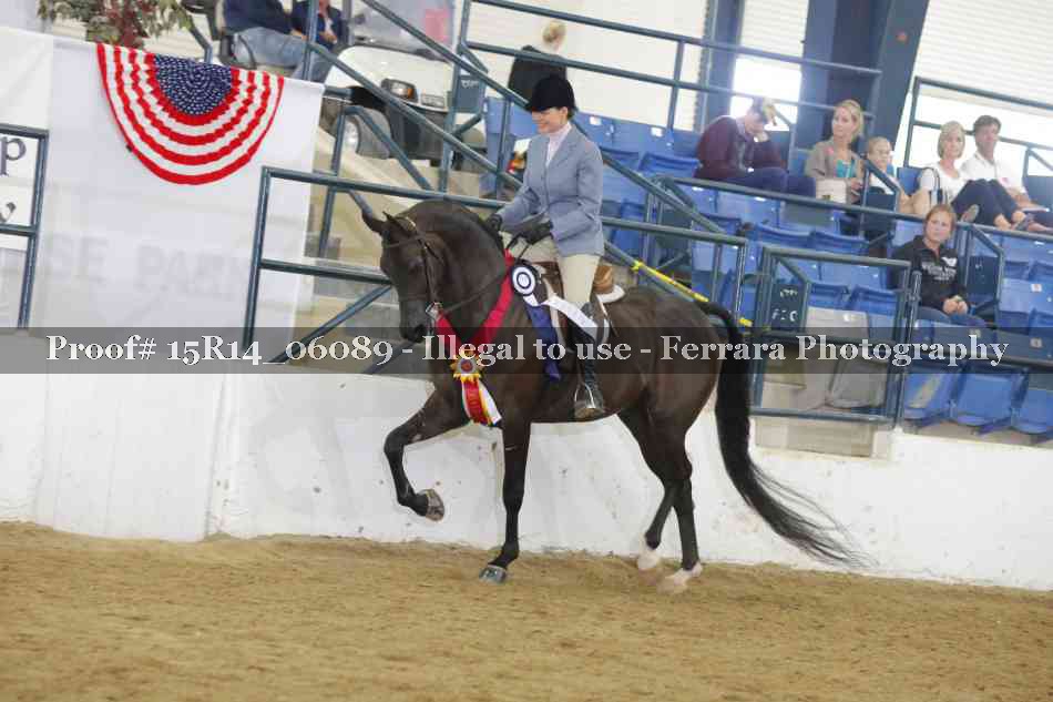 Proof Number 15R14_06089