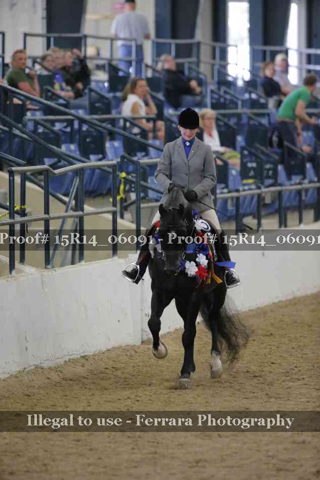 Proof Number 15R14_06091