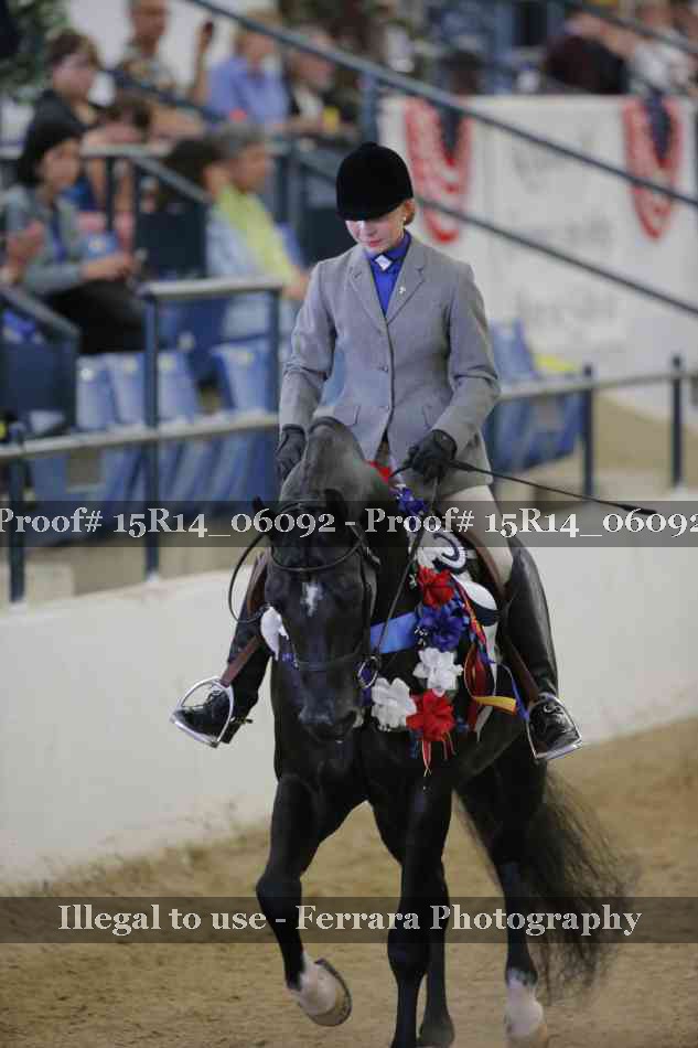 Proof Number 15R14_06092