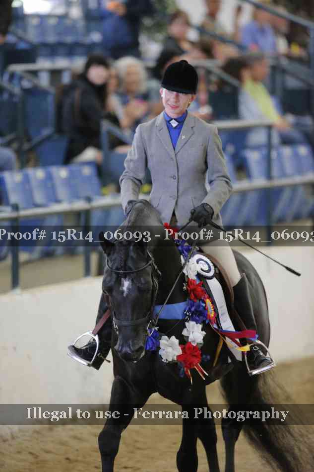 Proof Number 15R14_06093