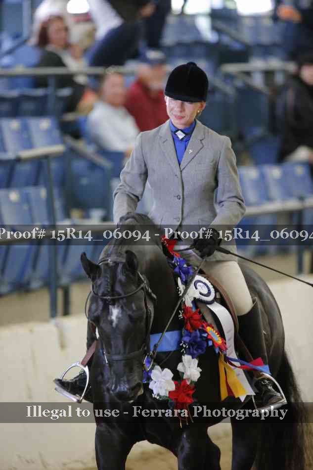 Proof Number 15R14_06094