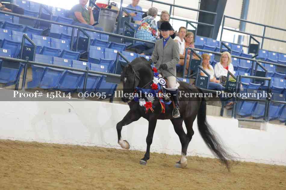 Proof Number 15R14_06095