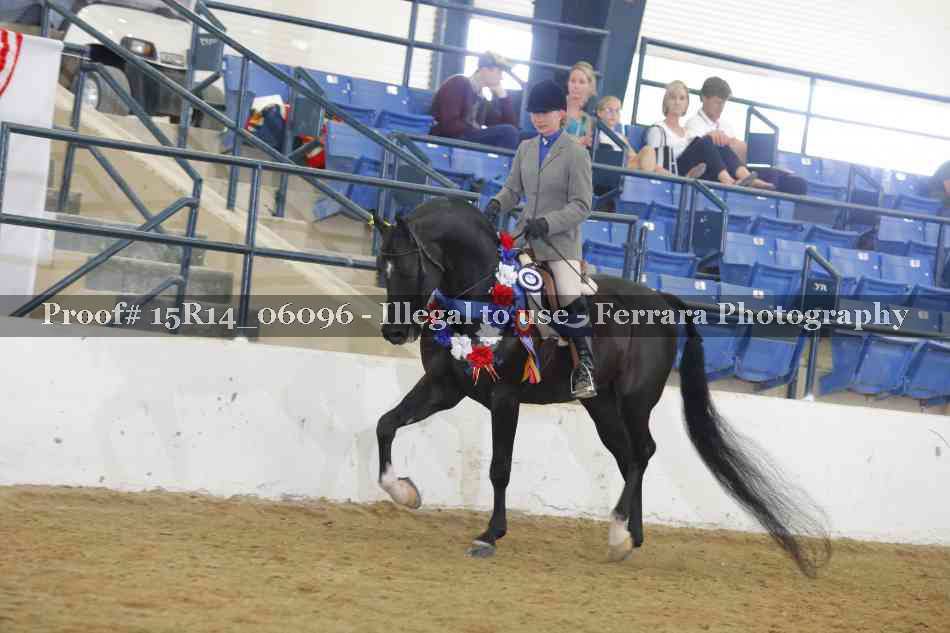 Proof Number 15R14_06096