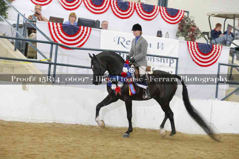 Proof Number 15R14_06097