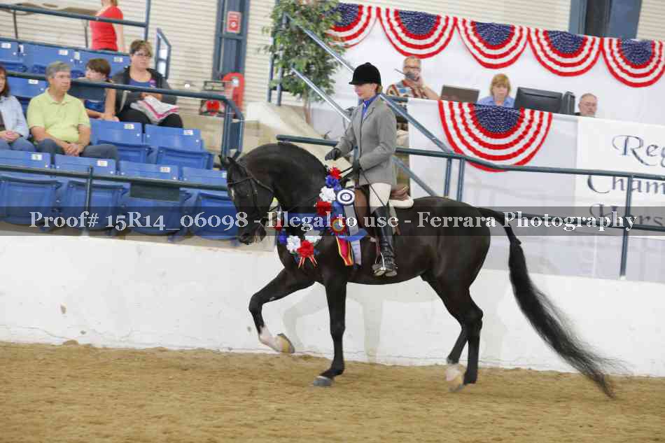 Proof Number 15R14_06098