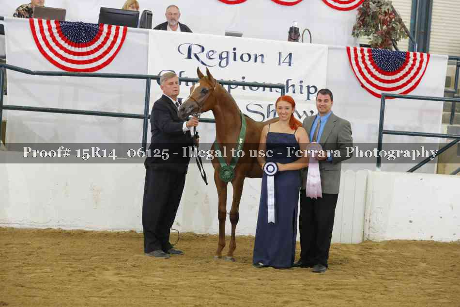 Proof Number 15R14_06125