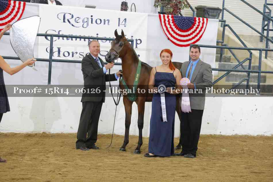 Proof Number 15R14_06126