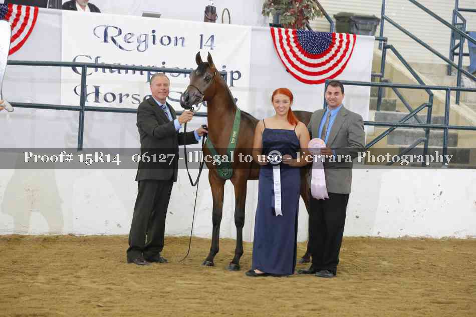 Proof Number 15R14_06127