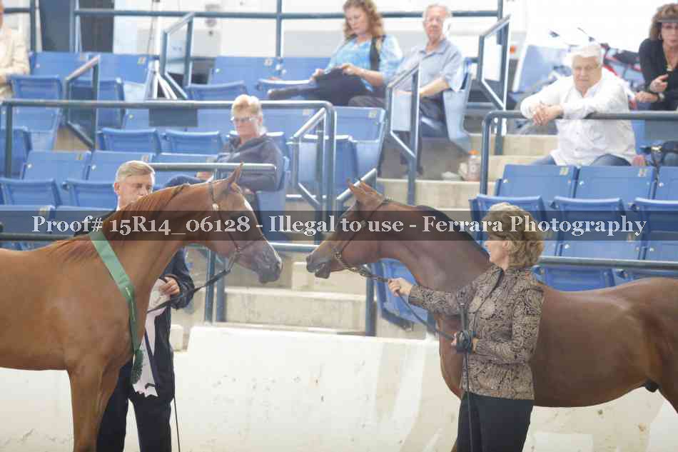 Proof Number 15R14_06128