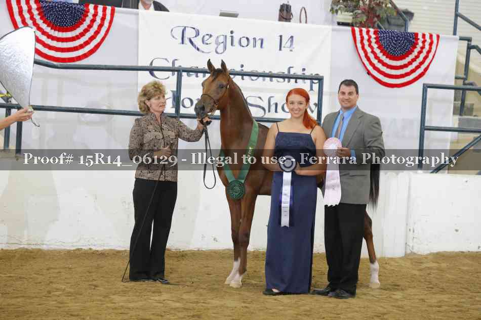 Proof Number 15R14_06129