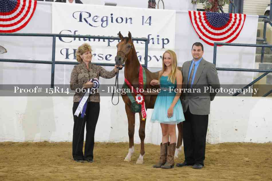 Proof Number 15R14_06131