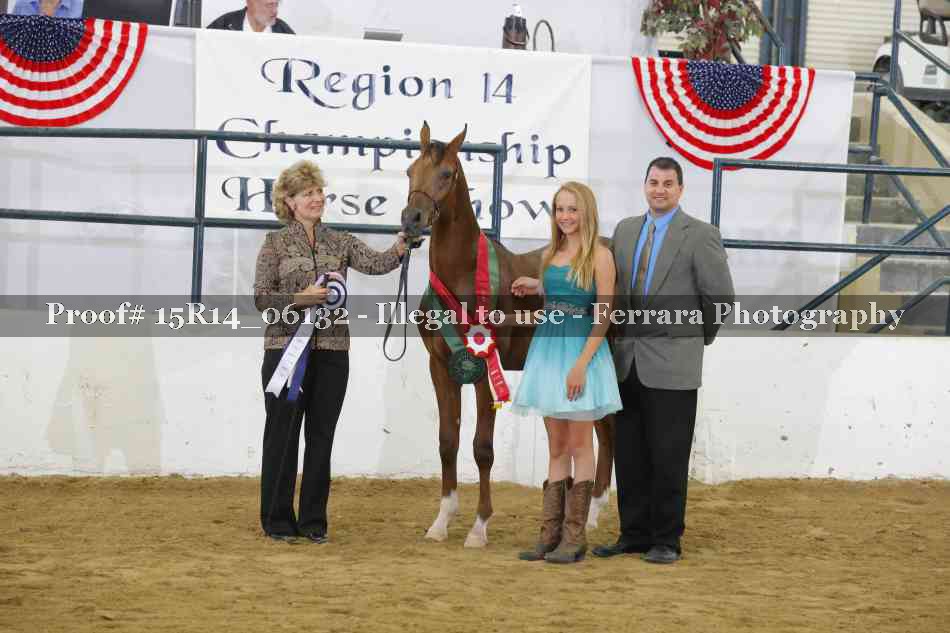 Proof Number 15R14_06132