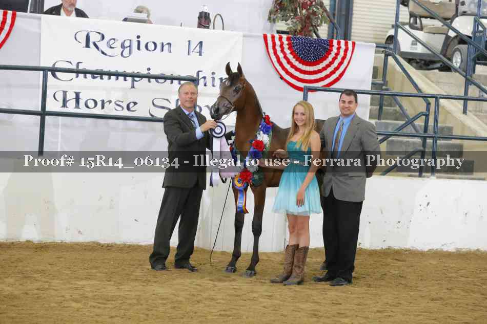 Proof Number 15R14_06134