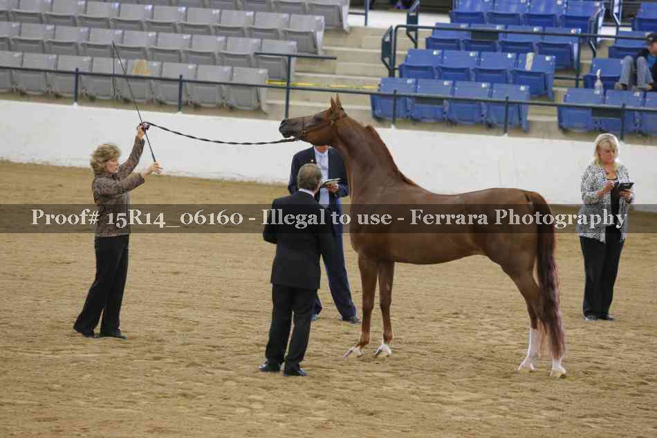 Proof Number 15R14_06160