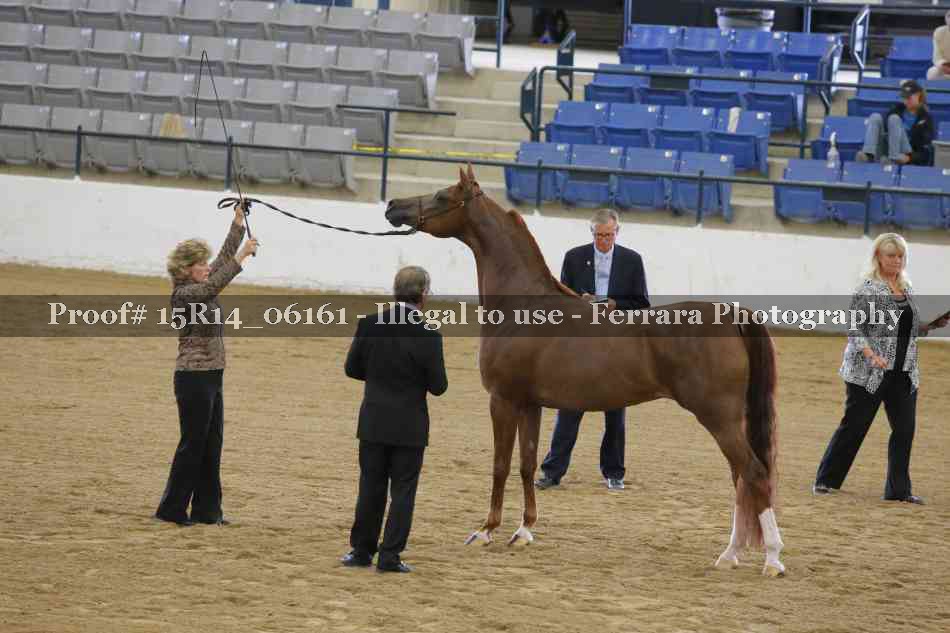 Proof Number 15R14_06161