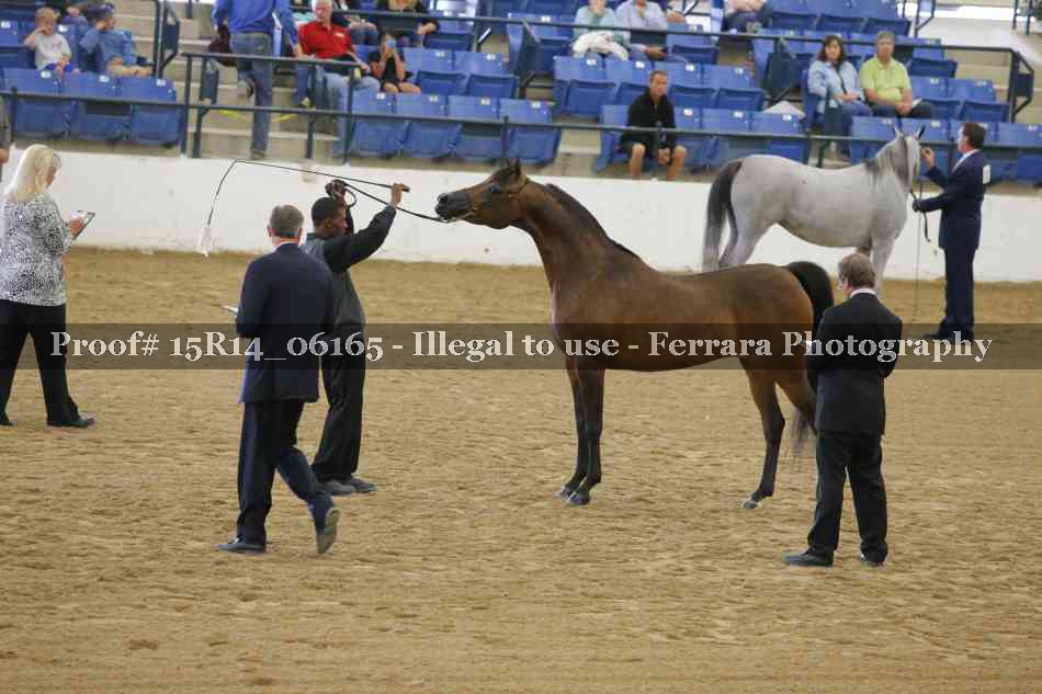 Proof Number 15R14_06165