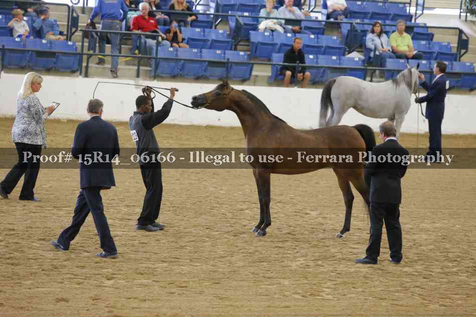 Proof Number 15R14_06166