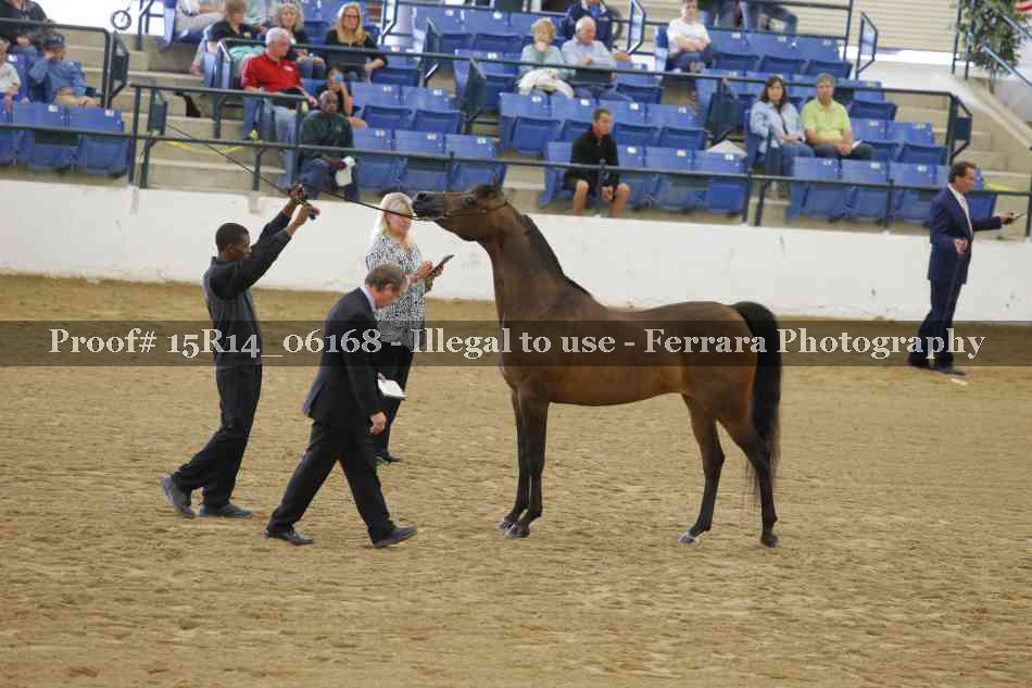 Proof Number 15R14_06168