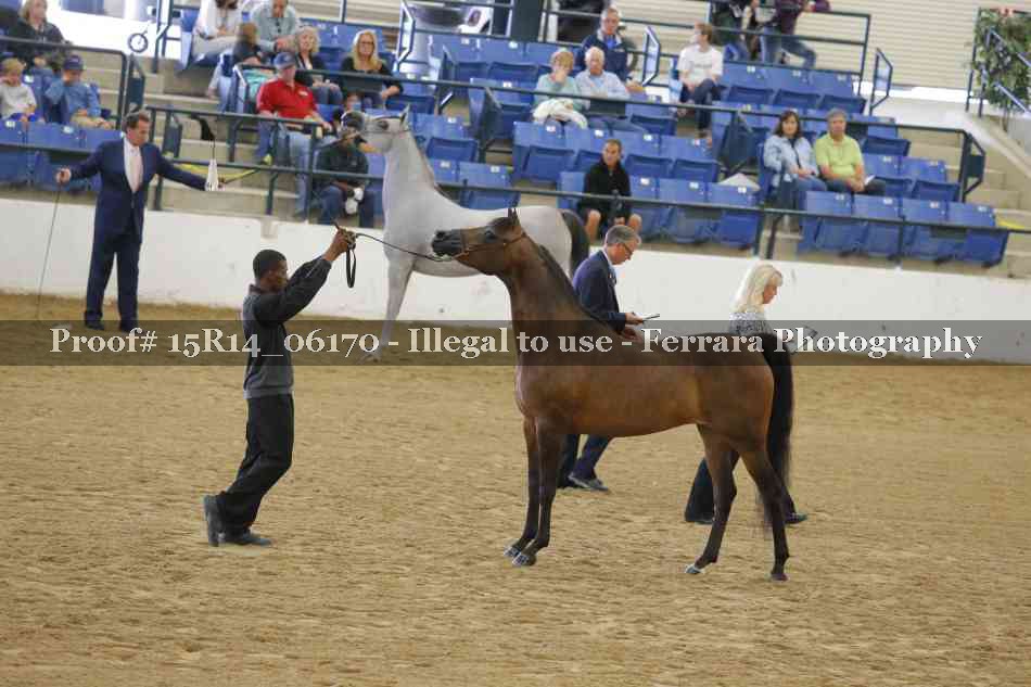 Proof Number 15R14_06170