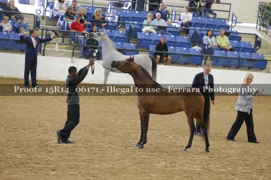 Proof Number 15R14_06171