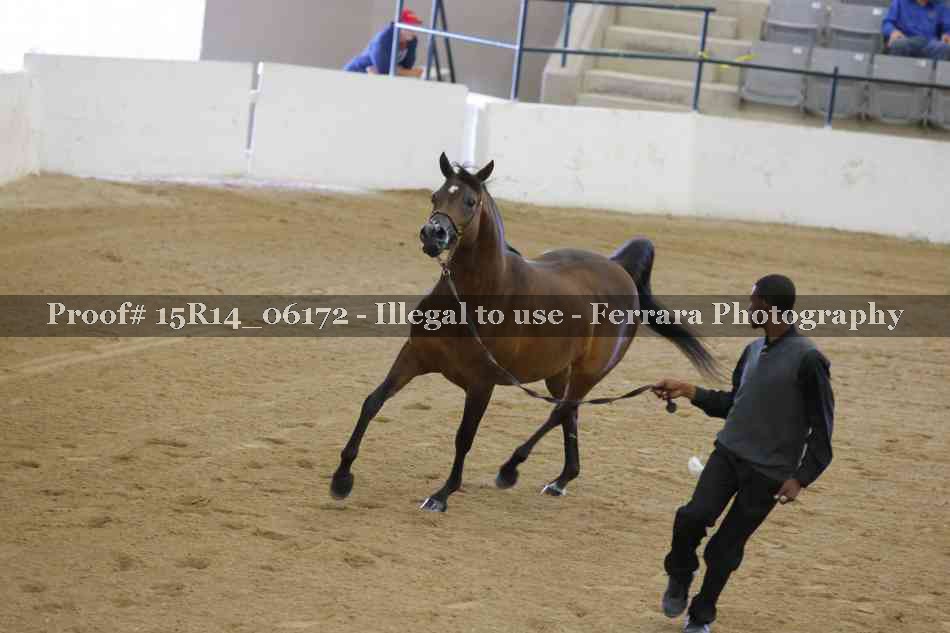 Proof Number 15R14_06172